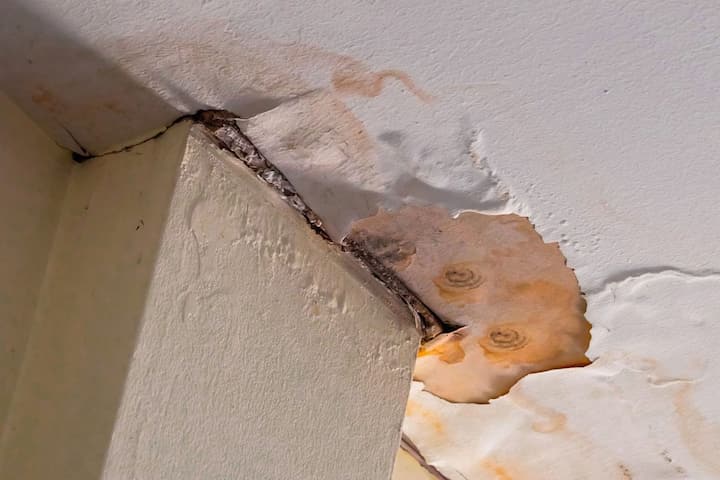 The ceiling of a home covered in black mold in Beaumont
